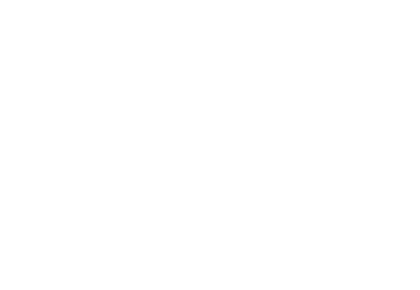 Criminal Defense Lawyer